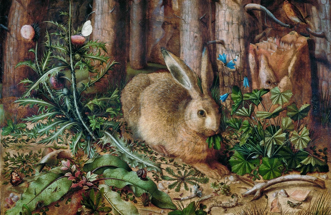 Woodland Rabbit Nature Scene Mural Wallpaper with Lush Greenery Details