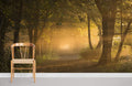 Forest Hole Wallpaper Mural