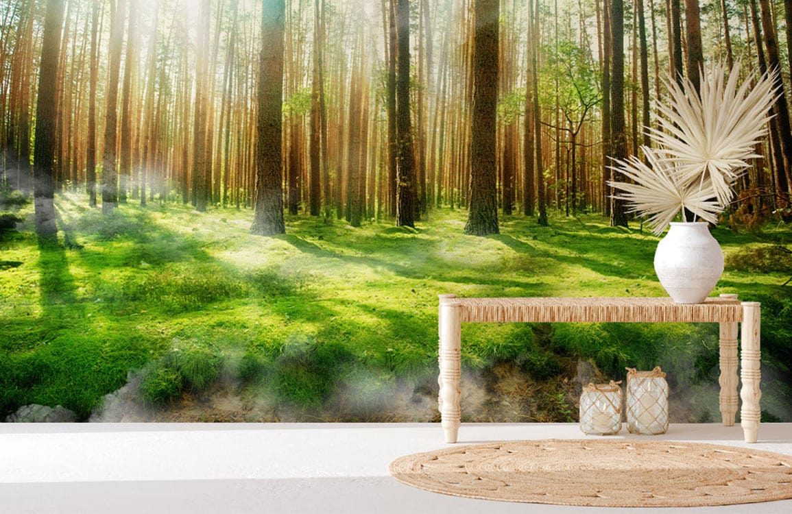 Sunlit Forest Mural Wallpaper with lush greenery, wooden bench, white floor, and woven rug accents.