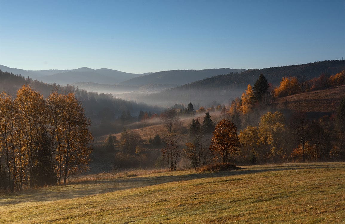 Autumn Misty Valley Landscape Mural Wallpaper - Scenic Nature Decor Art