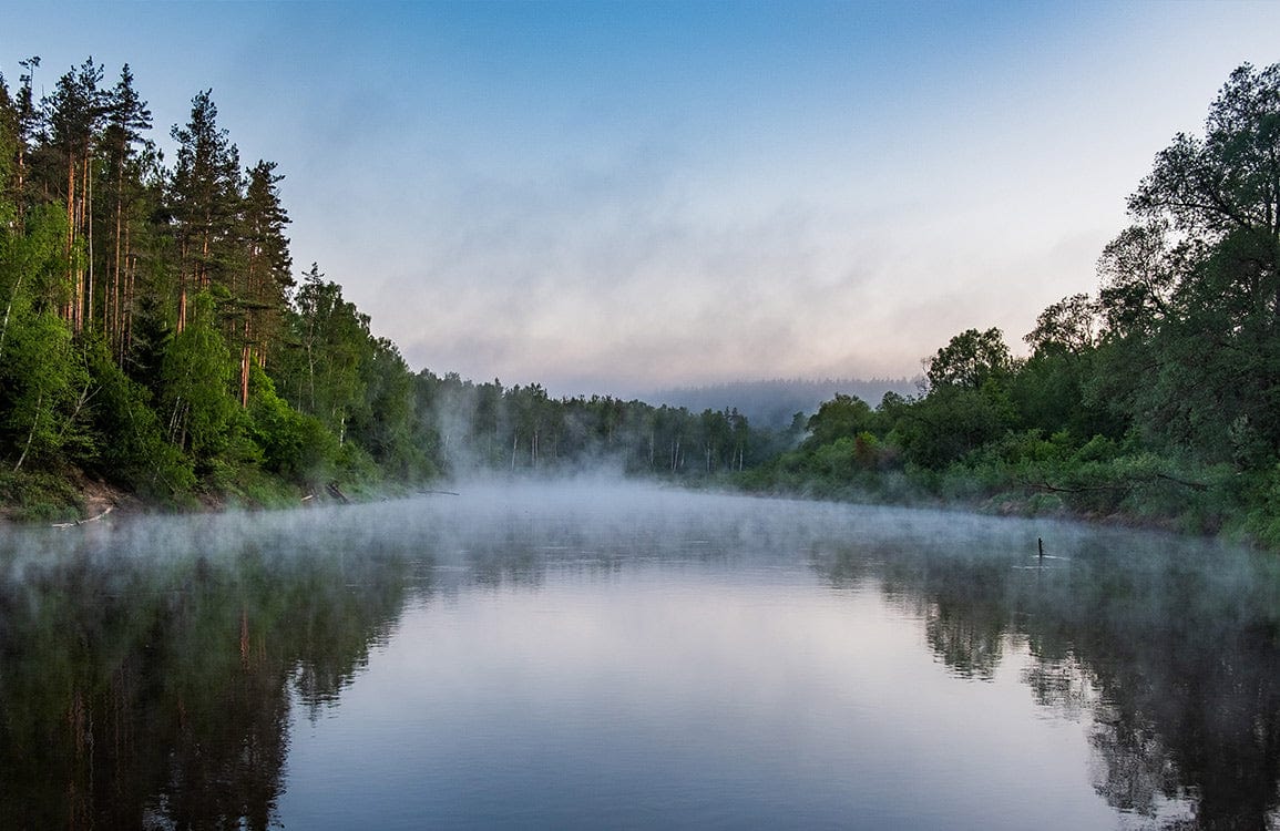 Serene Misty River Forest Landscape Mural Wallpaper - Nature Wall Art