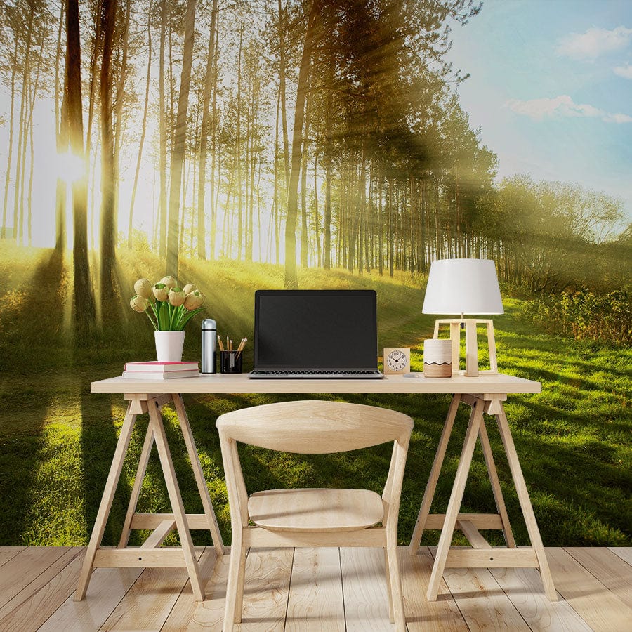 Tranquil Sunlit Forest Path Mural, study setting with wooden desk, chair, and light wood flooring.