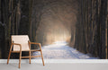 Forest Snow Path Wallpaper Mural