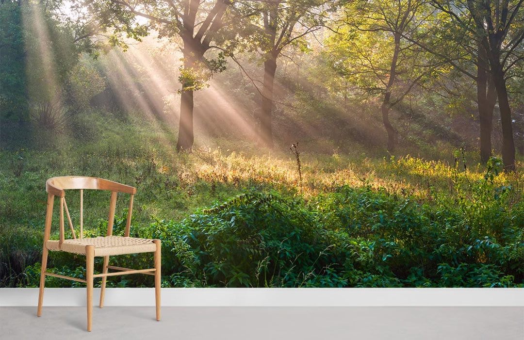 Serene Morning Forest Landscape Wallpaper, sunlight through trees, wooden chair, grey flooring, tranquil decor.