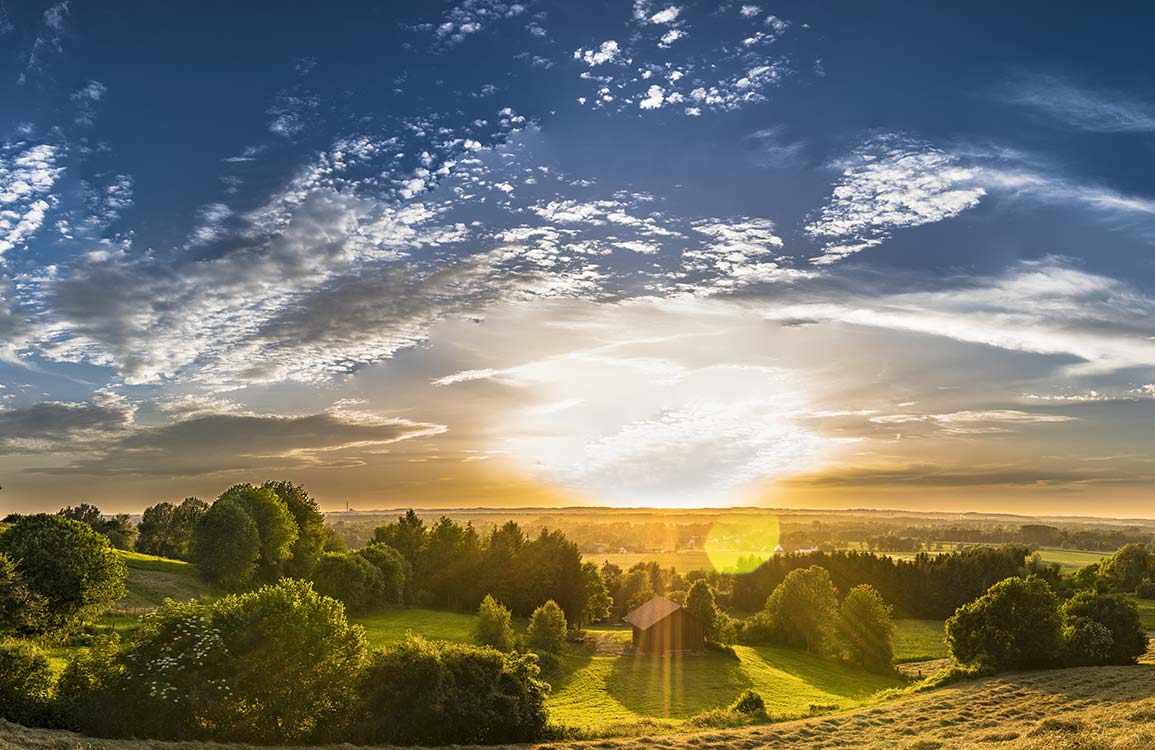 Tranquil Golden Sunrise Landscape Mural Wallpaper in Lush Greens and Blues