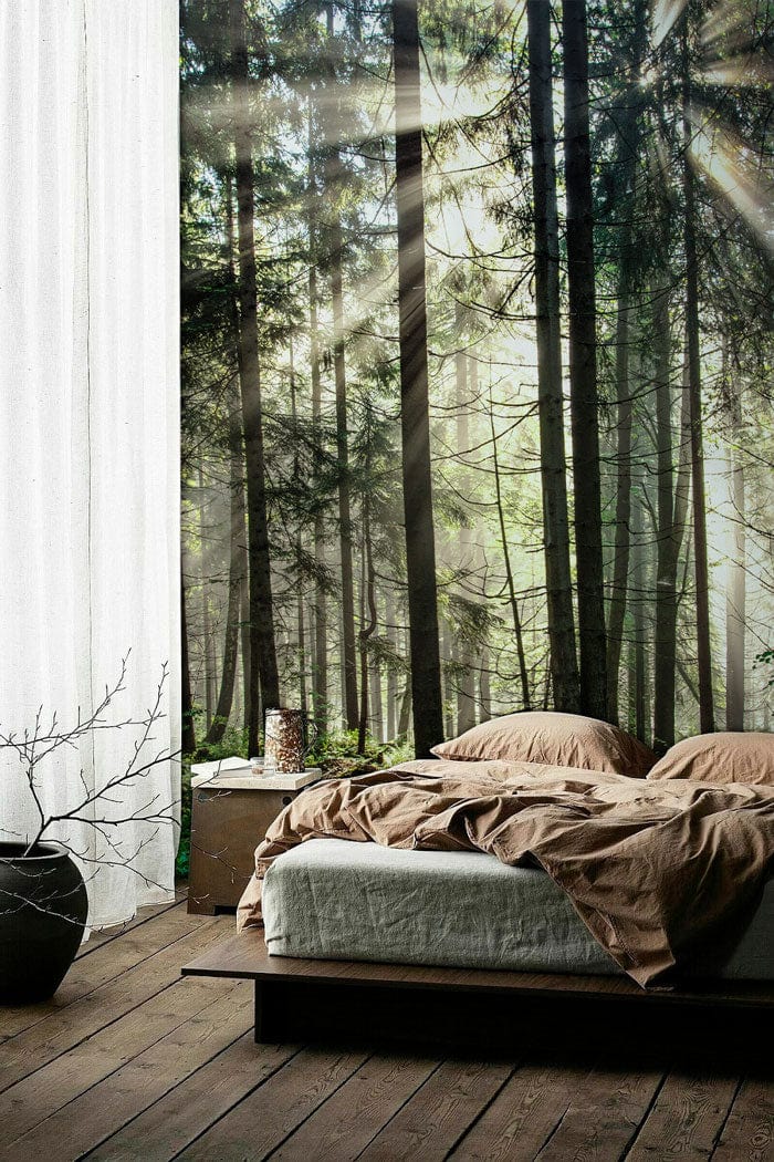 Sunlit Serenity Forest Mural Wallpaper, bedroom scene, wooden flooring, neutral bedding, nature-inspired decor.