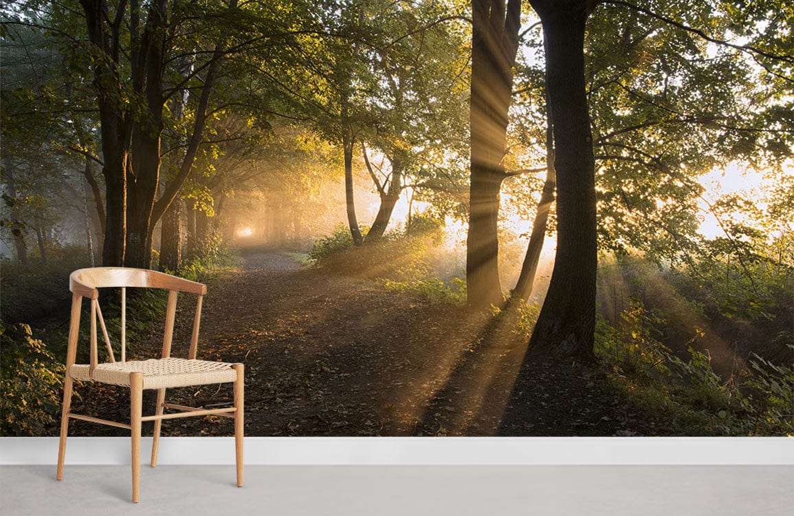 Rustic chair complements Golden Forest Sunlight Path Mural Wallpaper in serene room with light grey floor.