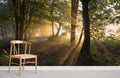 Forest Sunshine Wallpaper Mural