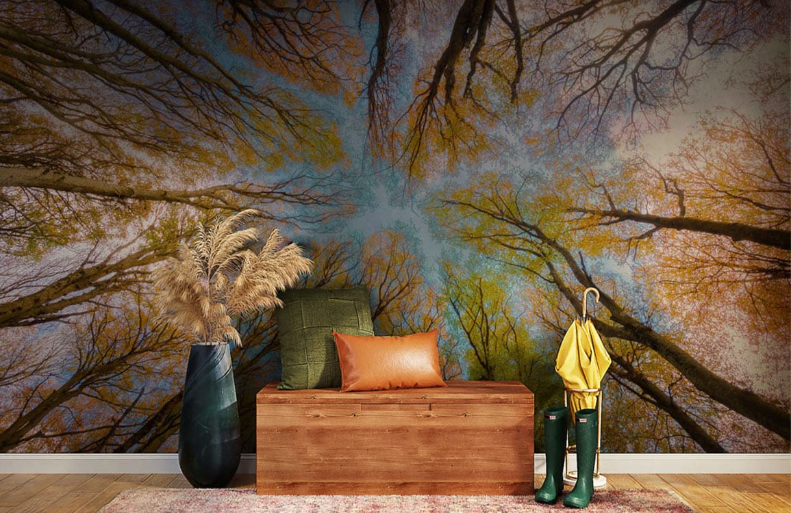 Forest Through Sky Wallpaper Mural