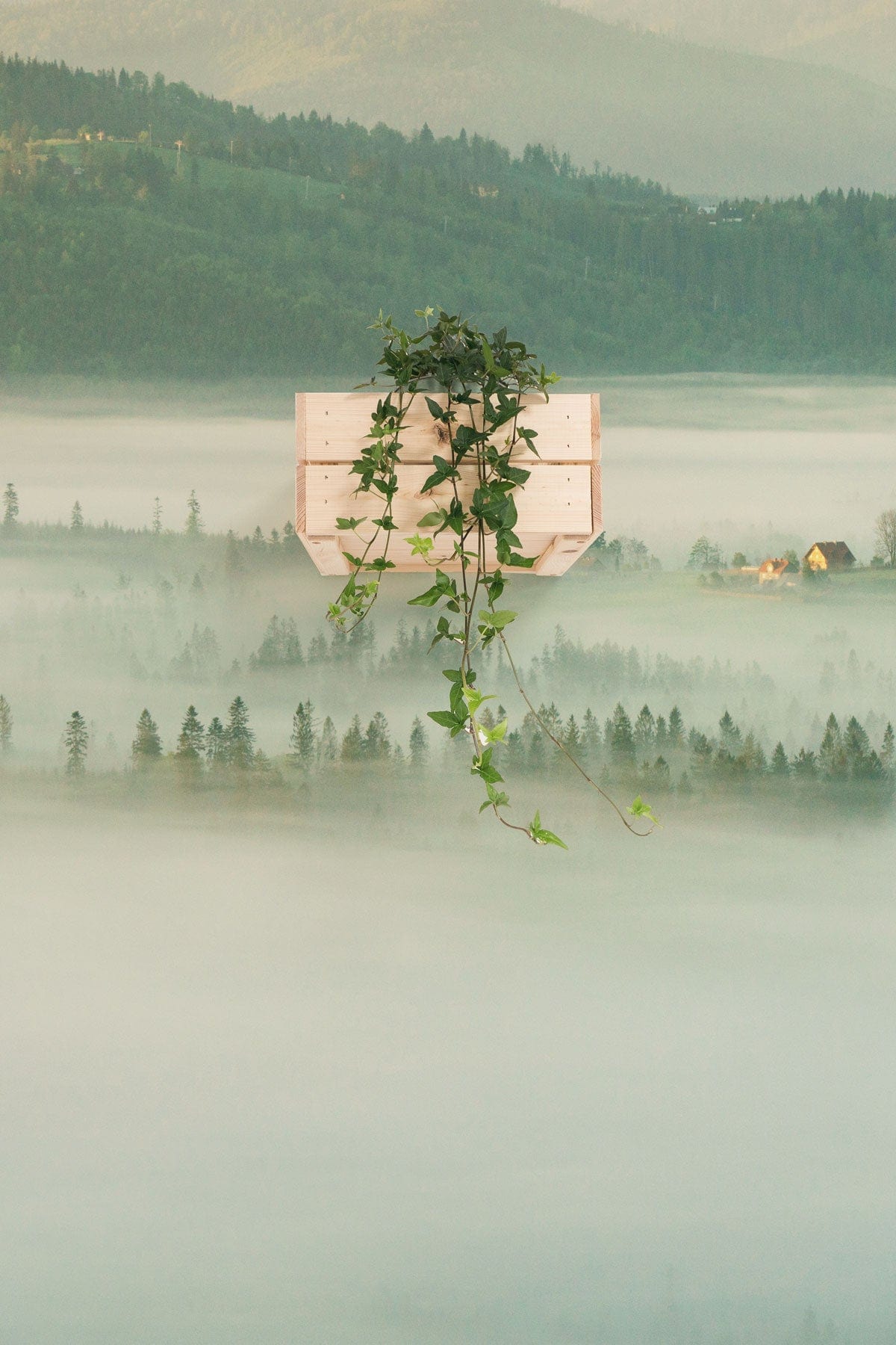 Misty Mountain Morning Mural Wallpaper, serene soft greens landscape with hanging wooden plant holder.