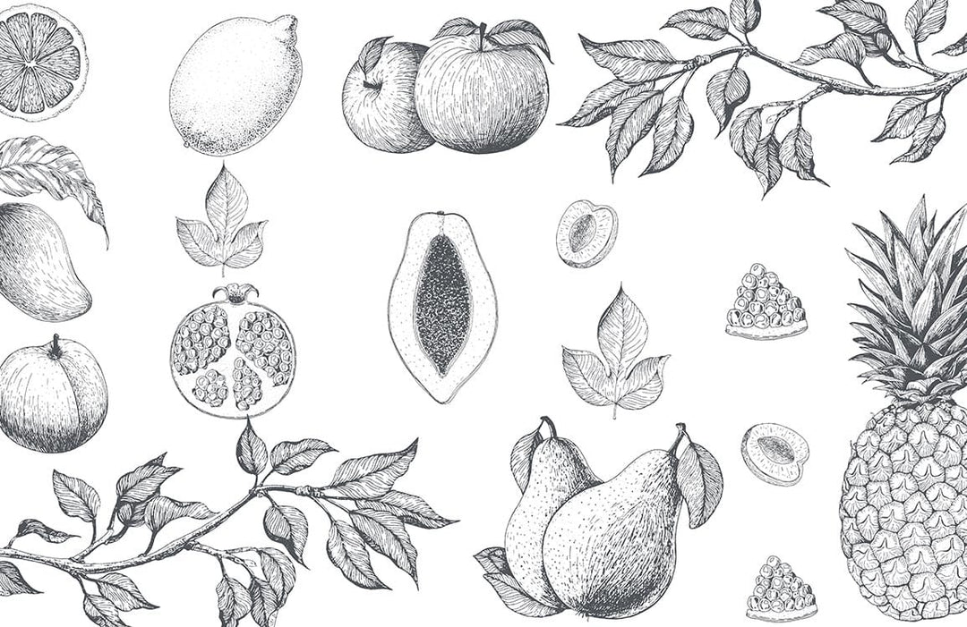 Monochrome Botanical Fruit Sketch Wallpaper: Elegant Nature-Inspired Mural Design