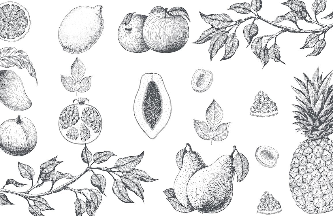 Monochrome Botanical Fruit Sketch Wallpaper: Elegant Nature-Inspired Mural Design