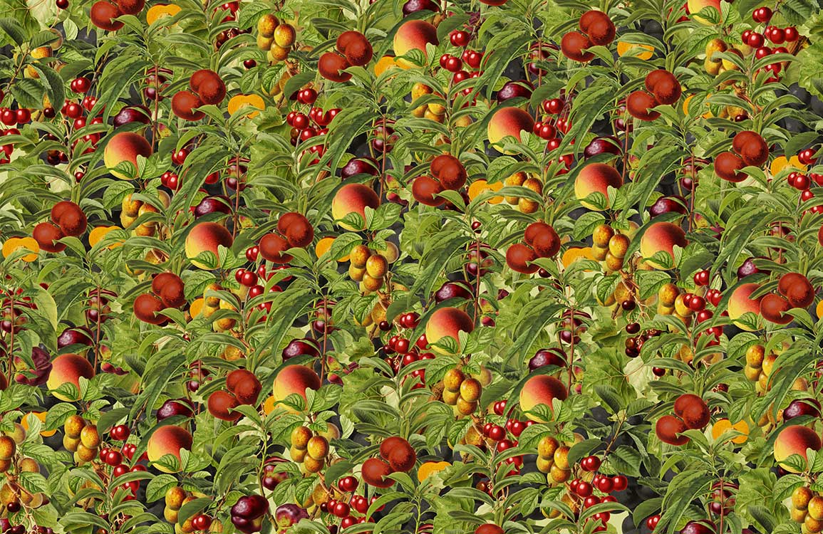 Vibrant Orchard Delight Fruit Pattern Wallpaper - Lush Greenery Design