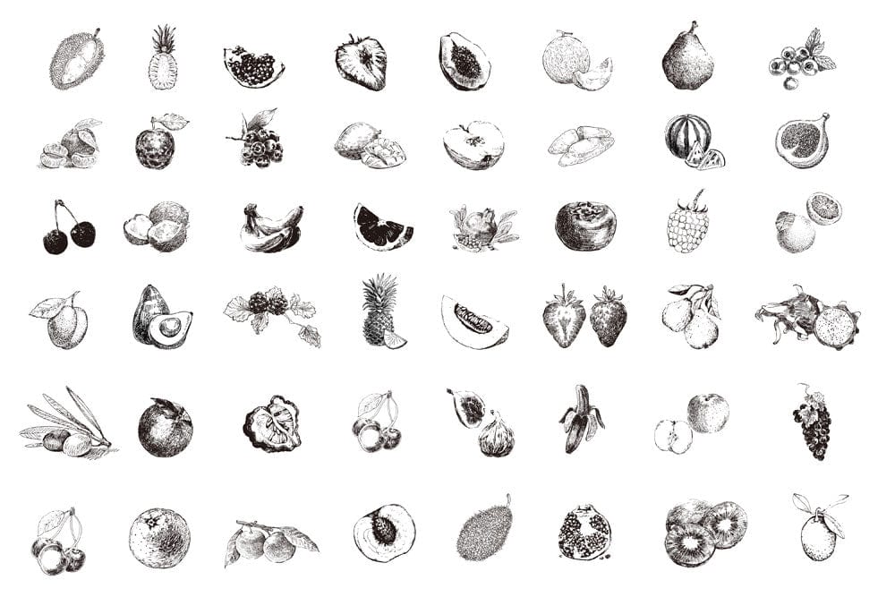 Monochrome Vintage Fruit Sketch Pattern Wallpaper for Classic Interiors