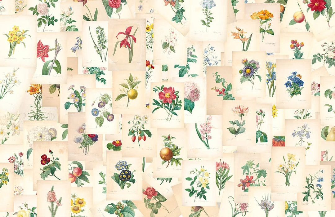 Vintage Botanical Floral Art Print Mural Wallpaper in Pastel Colours