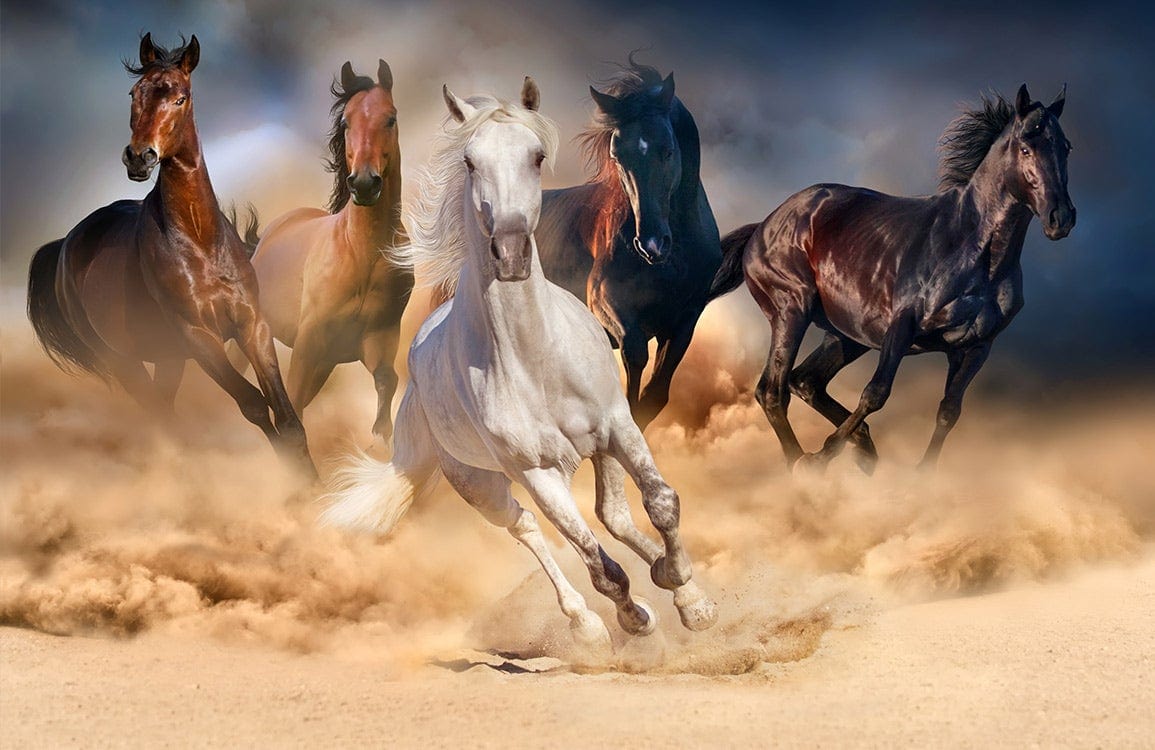 Dynamic Galloping Horses Mural Wallpaper: Dramatic Nature Scene in Earthy Tones