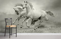 Ramble Wallpaper Mural