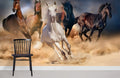 Gallop Wallpaper Mural