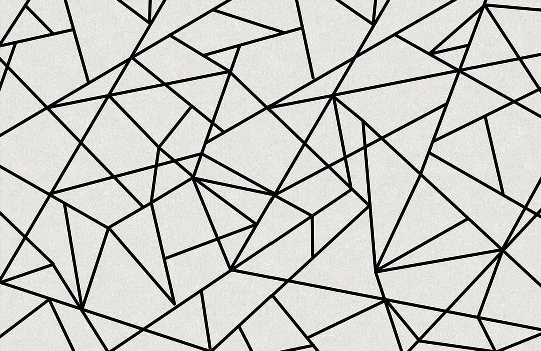 Monochrome Geometric Lines Black and White Abstract Patterned Wallpaper