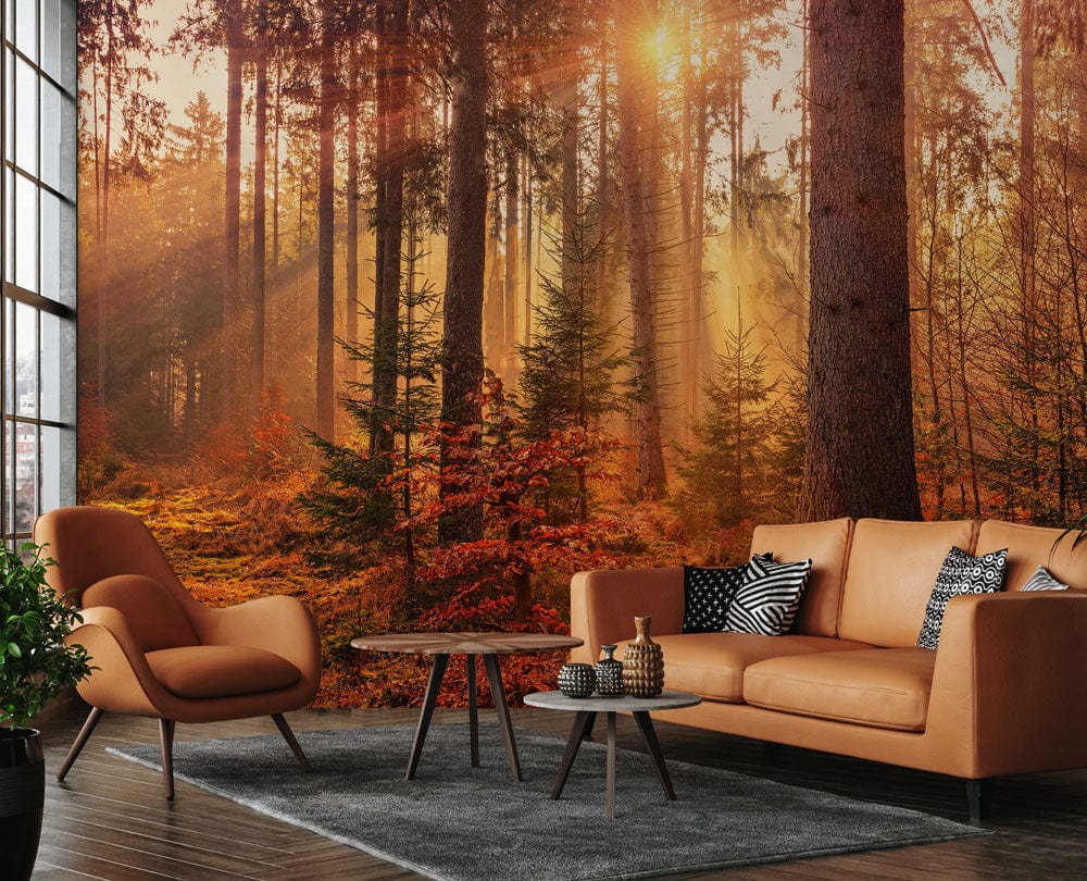 Sunlit Autumn Forest Mural Wallpaper in warm earthy tones, brown sofa, armchair, wooden flooring, lounge.