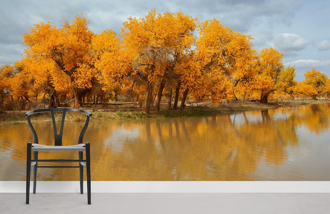 Autumn Gold Forest Mural Wallpaper with modern black chair in minimalist room, highlighting tranquil design.