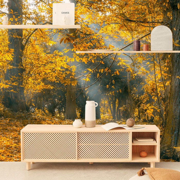 Autumn Radiance Forest Mural Wallpaper in sunlit woodland, neutral sideboard, minimalist shelves, living room.