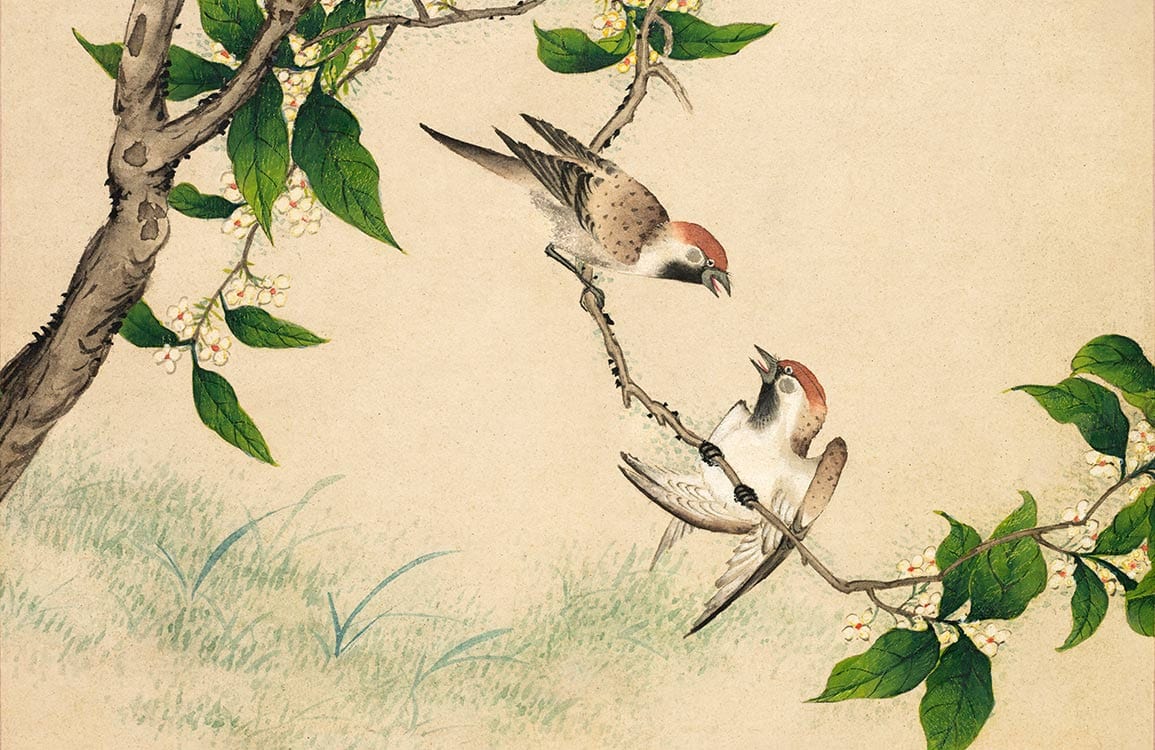 Tranquil Nature Birds and Blossoms Vintage Green Artistic Wallpaper Mural