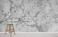 Graphite Art Wallpaper Mural