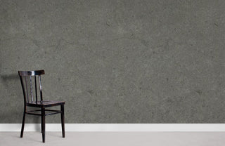 Gray Grained Concrete Wallpaper Mural