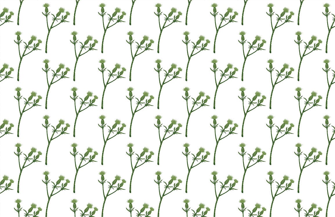 Elegant Green Botanical Floral Pattern Wallpaper - Natural Interior Design Accent