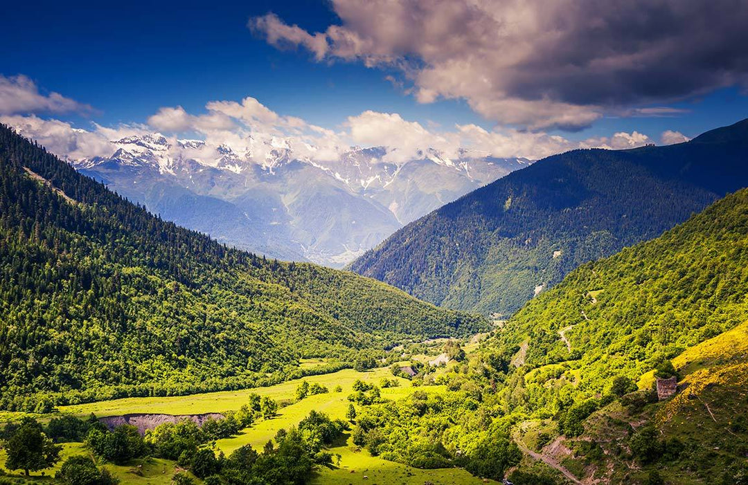 Scenic Mountain Valley Landscape Mural Wallpaper - Lush Green Nature Design
