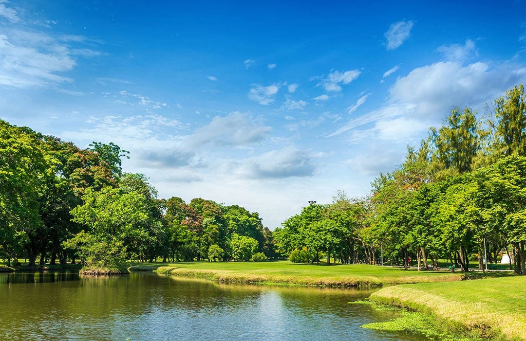 Tranquil Green Landscape Mural Wallpaper with Blue Sky Reflection Scene