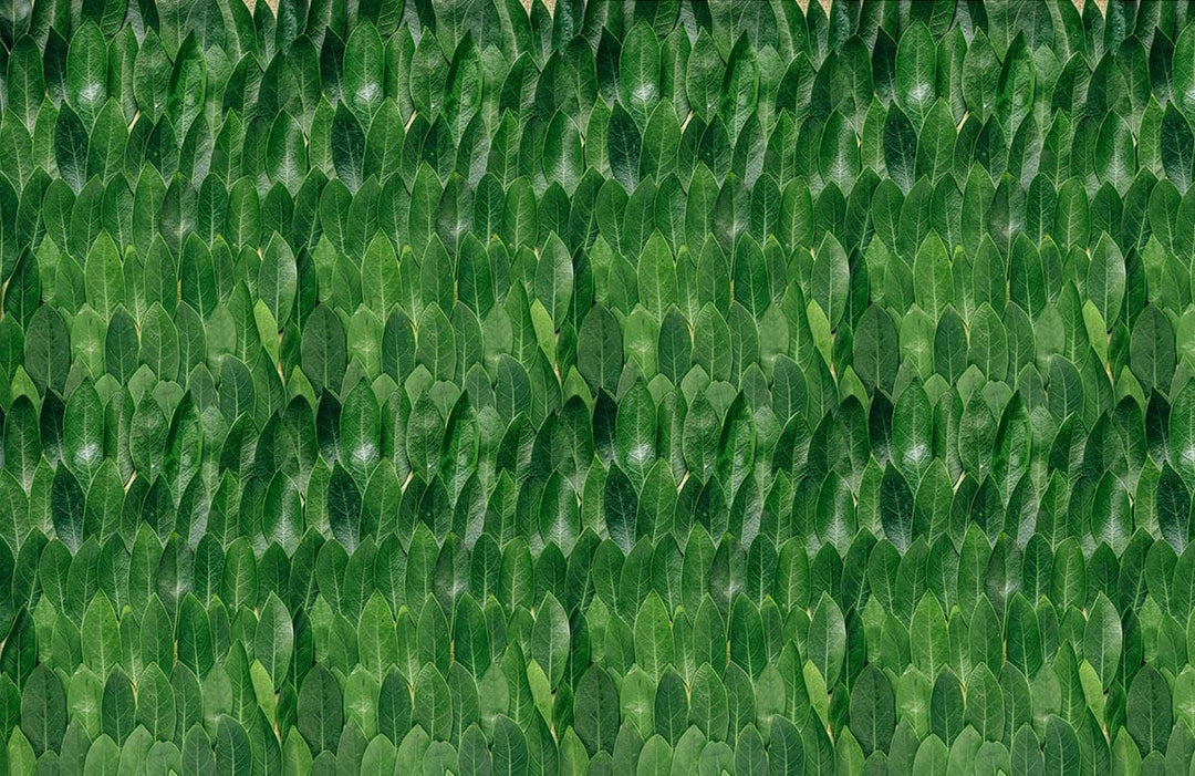 Verdant Leafy Escape: Green Botanical Repeated Pattern Wallpaper Design