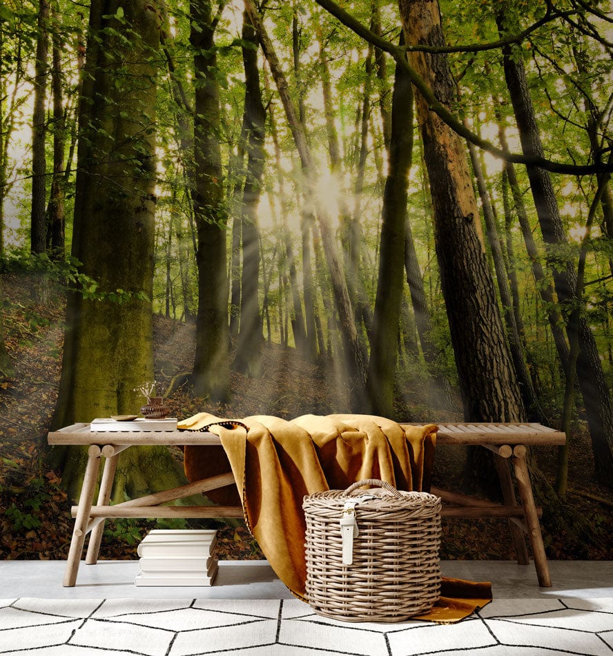 Serene Sunlit Forest mural in room with chevron rug, wooden bench, and cosy woven basket decor.