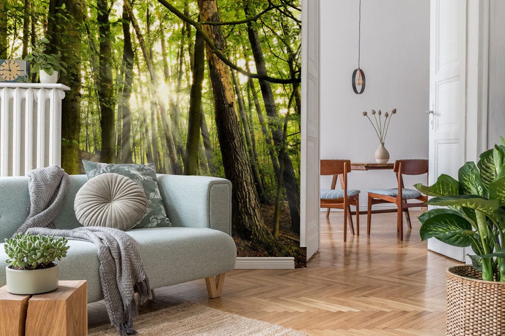 Serene Sunlit Forest Mural Wallpaper in living room with light blue sofa, wooden flooring, green decor.
