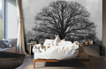 Gray Forest Wallpaper Mural