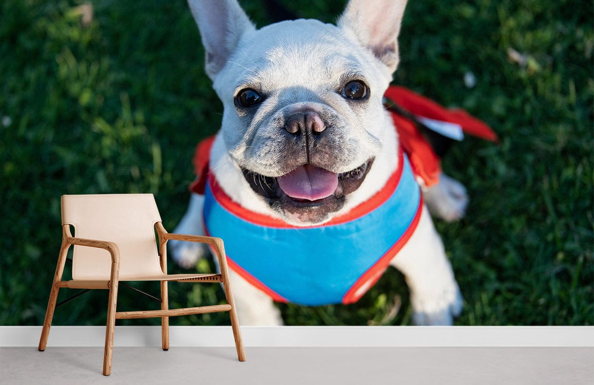 Chair in front of large dog mural, white wall, wooden flooring, modern living room decor.