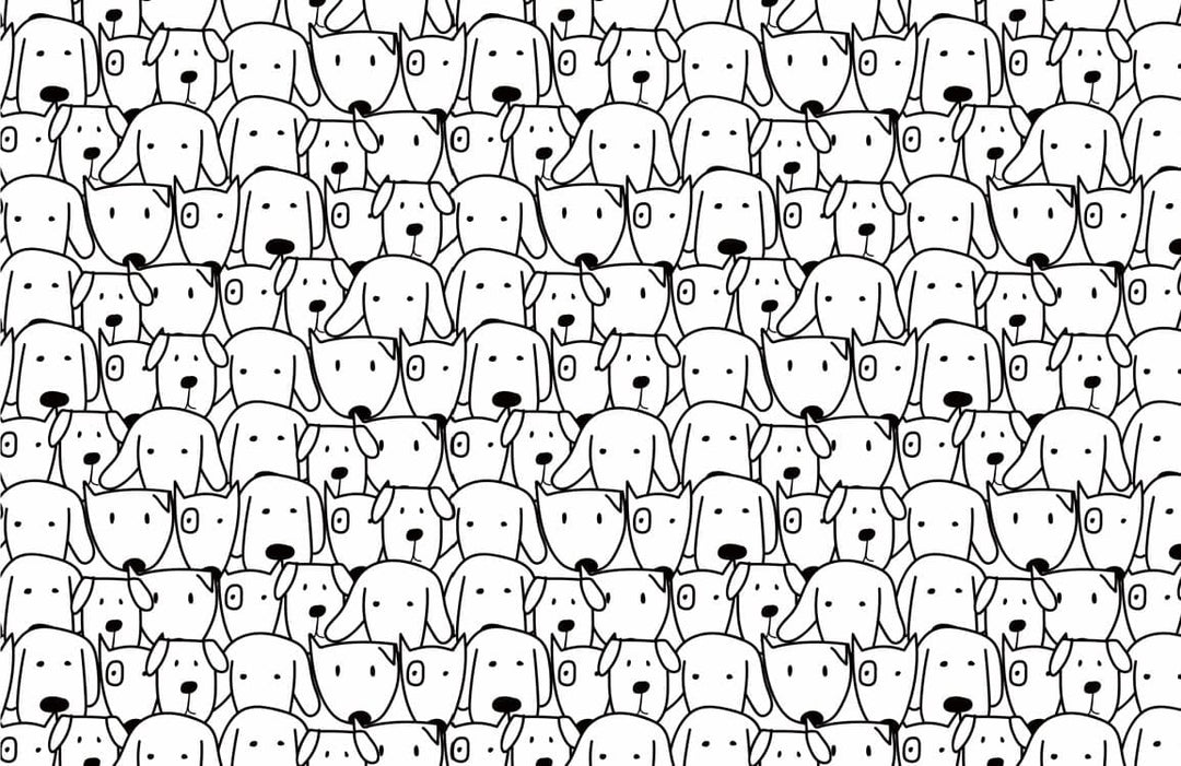 Monochrome Doodle Dog Pattern Wallpaper in Black and White Design