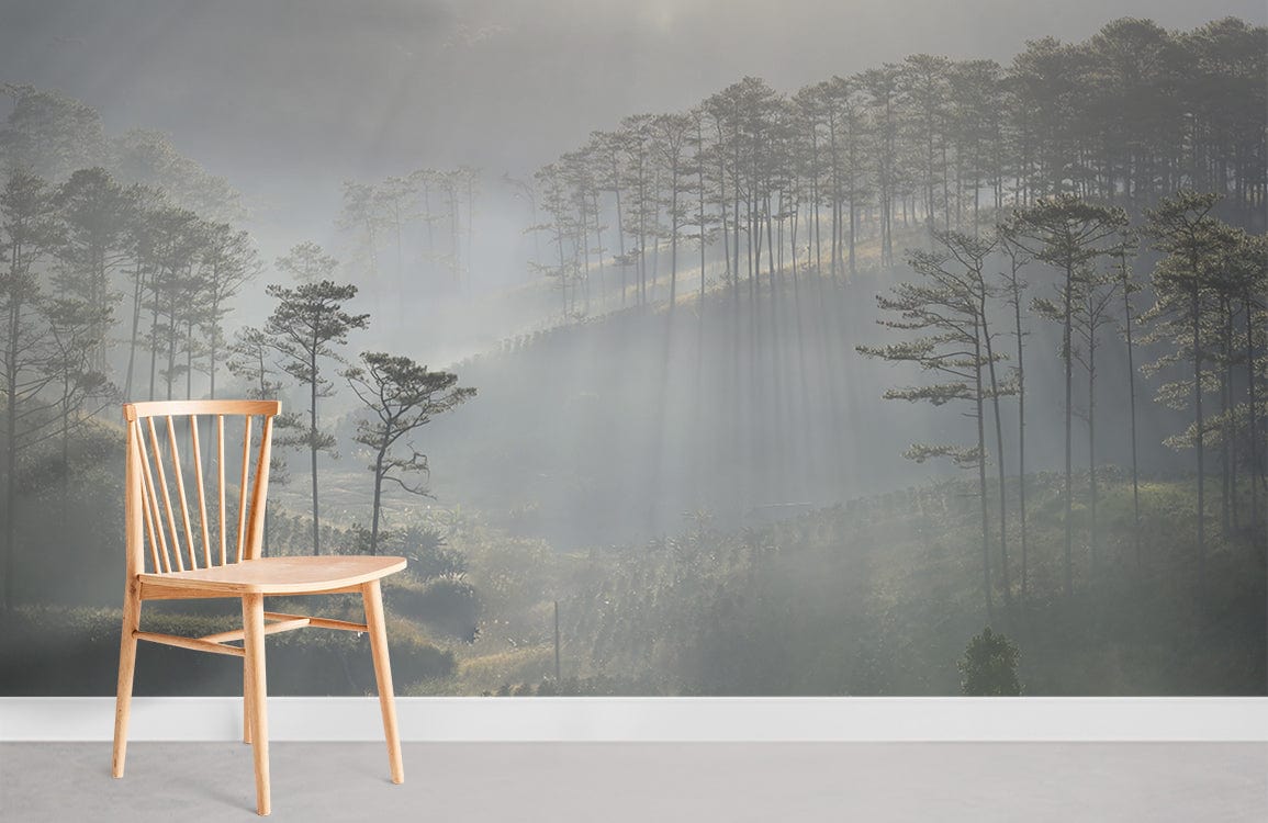 Hazy Forest Wallpaper Mural