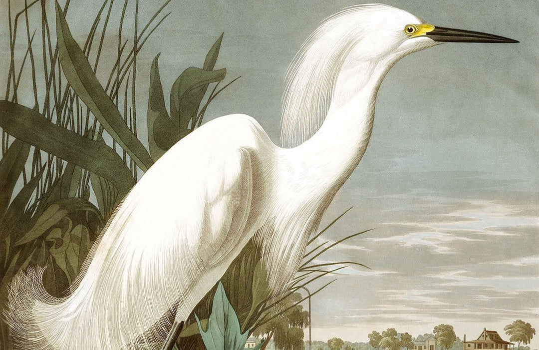 Elegant White Egret Vintage Nature Mural Wallpaper with Serene Landscape Scene