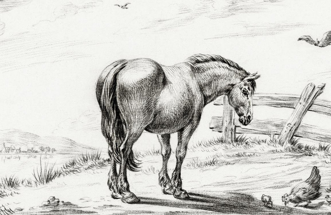 Vintage Horse Sketch Monochrome Wallpaper: Rustic Countryside Charm Decor Piece