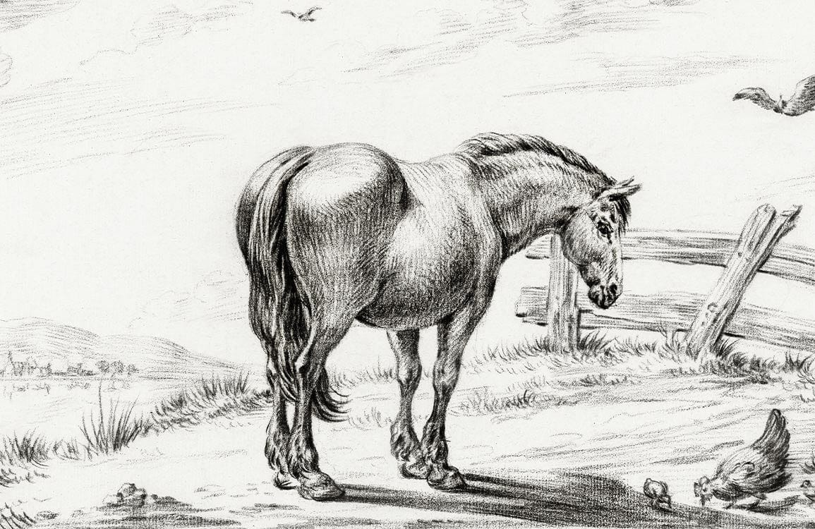Vintage Horse Sketch Monochrome Wallpaper: Rustic Countryside Charm Decor Piece