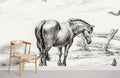 Horse and Chicken Wallpaper Mural