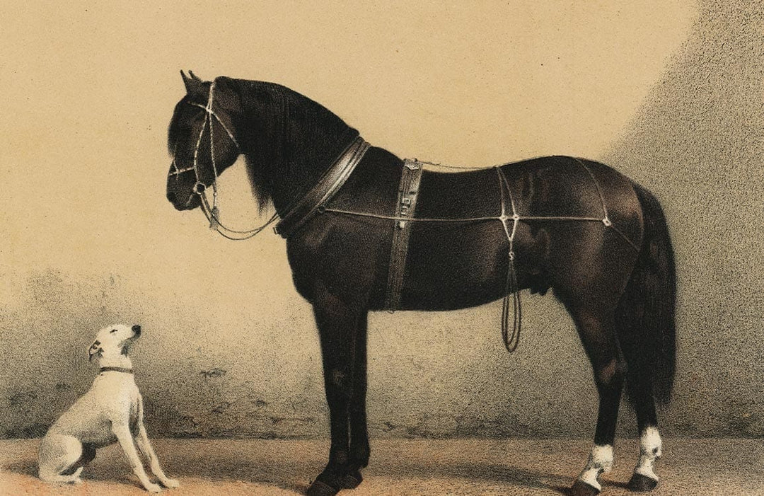 Vintage Equestrian and Canine Art Wallpaper in Classic Sepia Tones