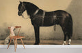 Horse and Dog Wallpaper Mural