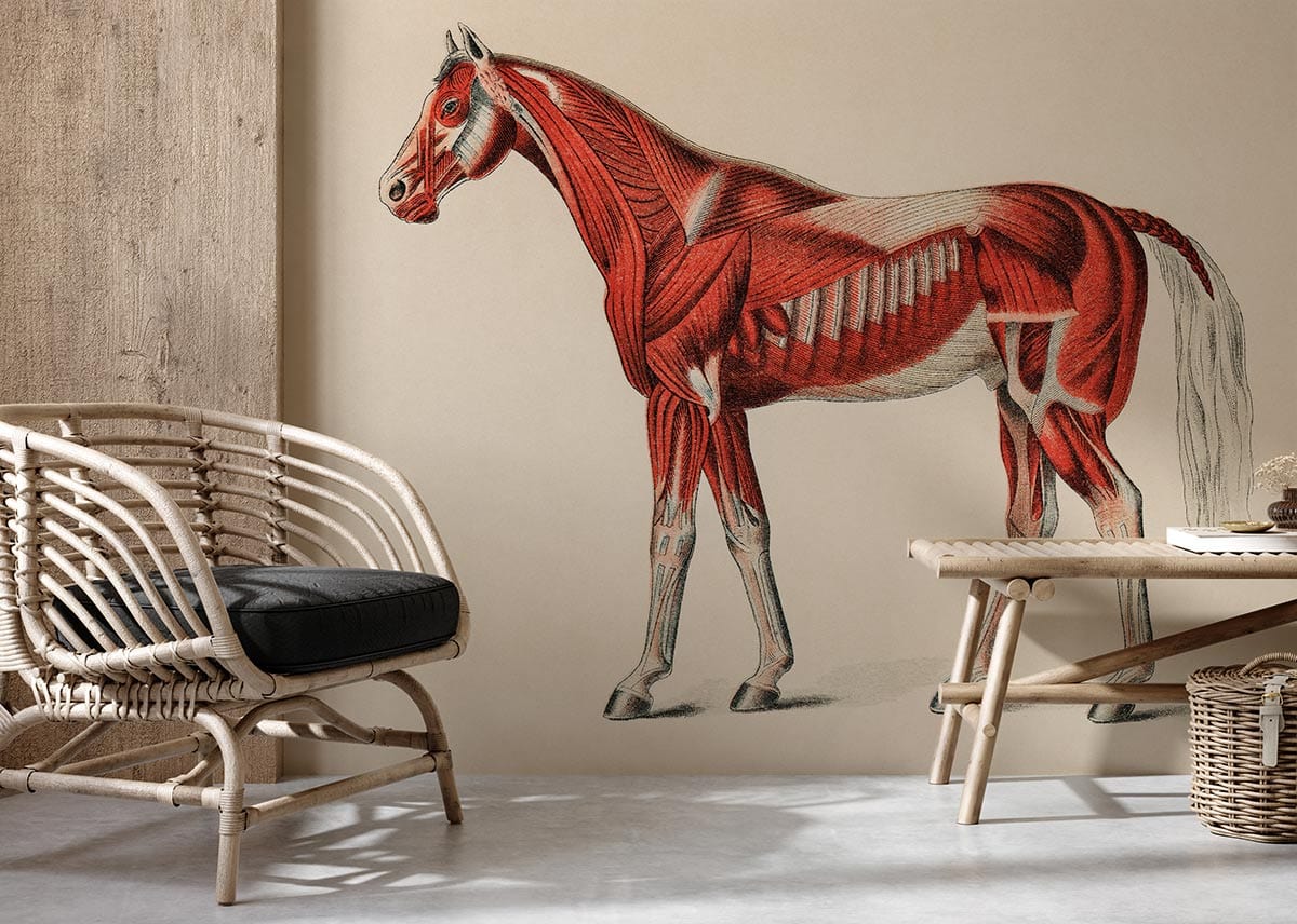 Vintage equine mural wallpaper in red-beige on beige wall, rattan chair, wooden table, concrete floor.