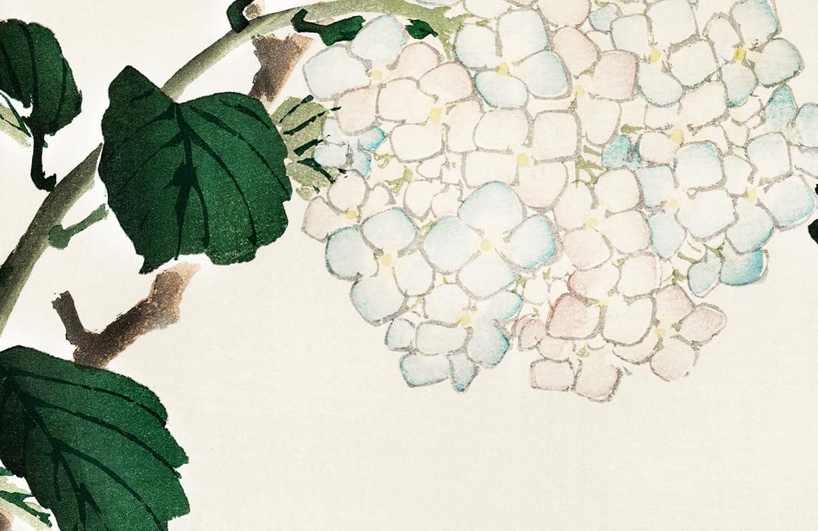 Elegant Vintage Hydrangea Floral Wallpaper with Green Leaves, Watercolour Style