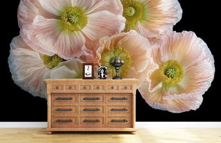Iceland Poppies Wallpaper Mural