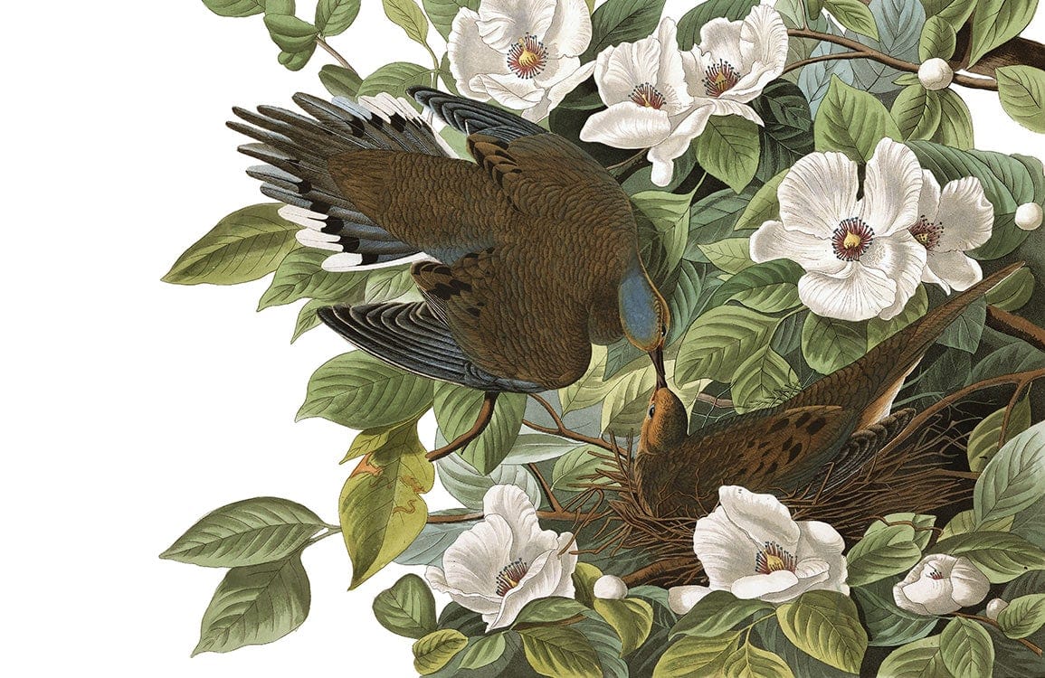 Tropical Bird and Magnolia Blossom Mural Wallpaper in Lush Greenery Design