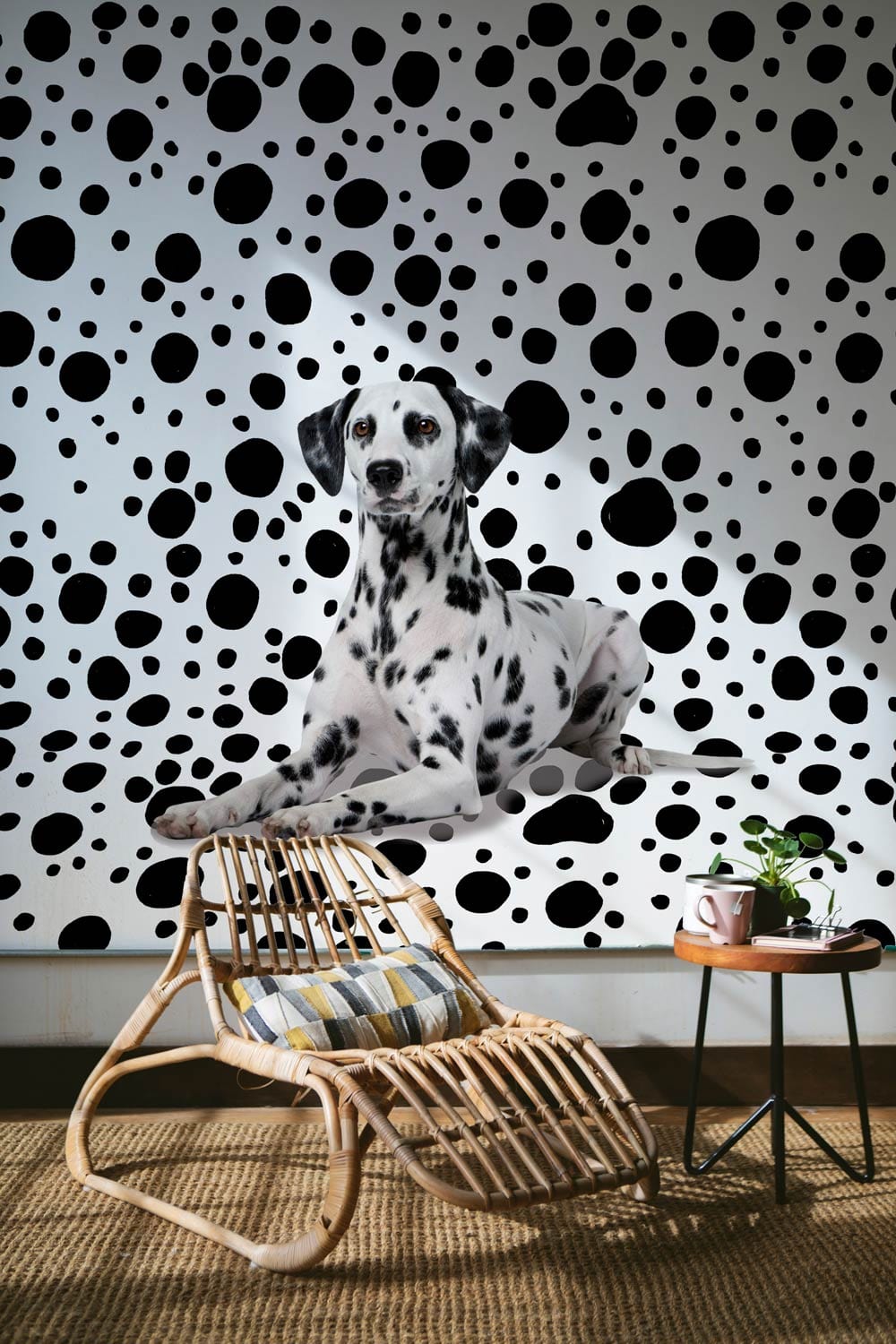 Monochrome Dalmatian dot wallpaper, rattan chair, woven rug, modern living room, black and white decor.